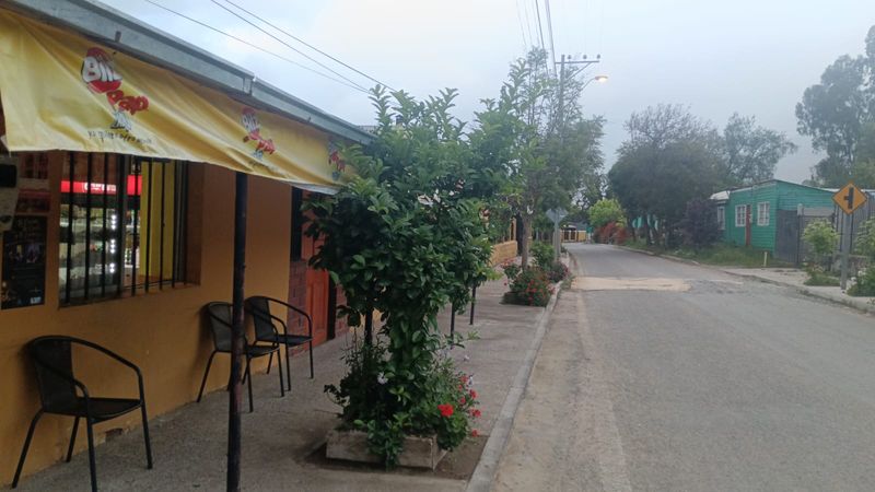 Vereda frente a El Crillón con sillas, un árbol y flores; la calle de Arboleda Grande se pierde entre árboles y casas.